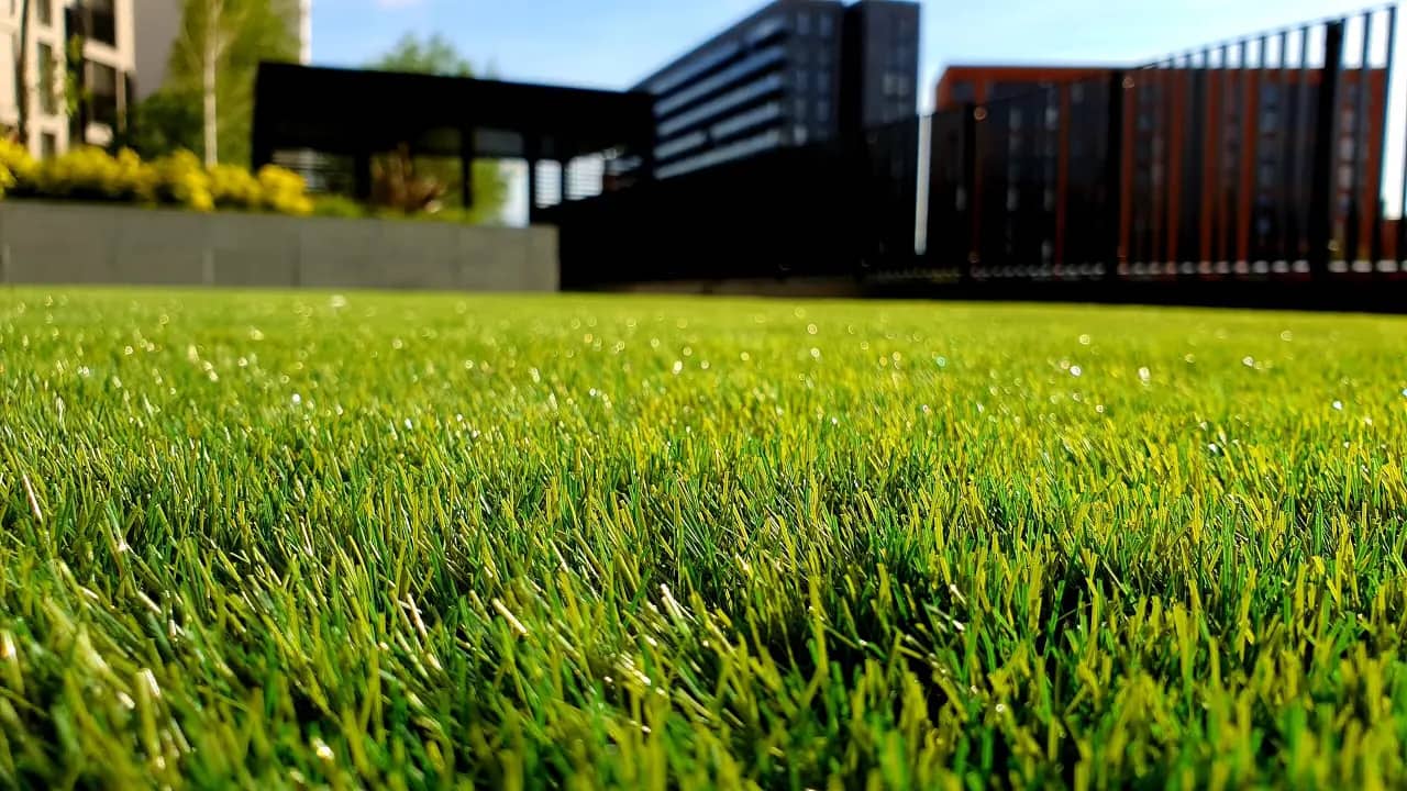 Close-up of green turf with a building in the background - Pickle-Pins