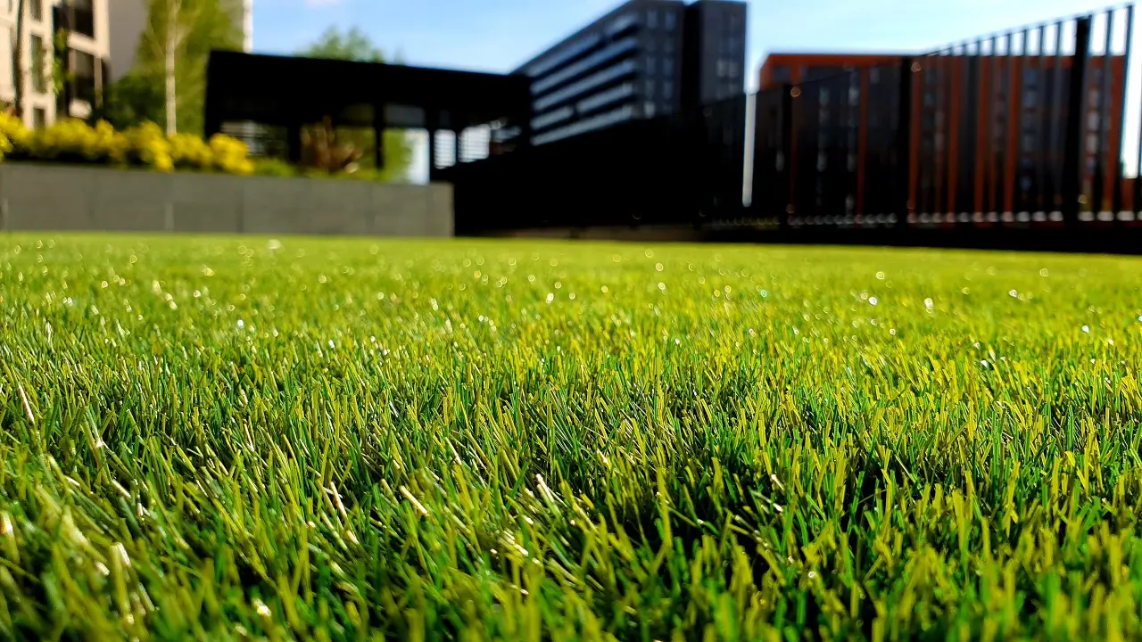 Close-up of green turf with a building in the background - Pickle-Pins